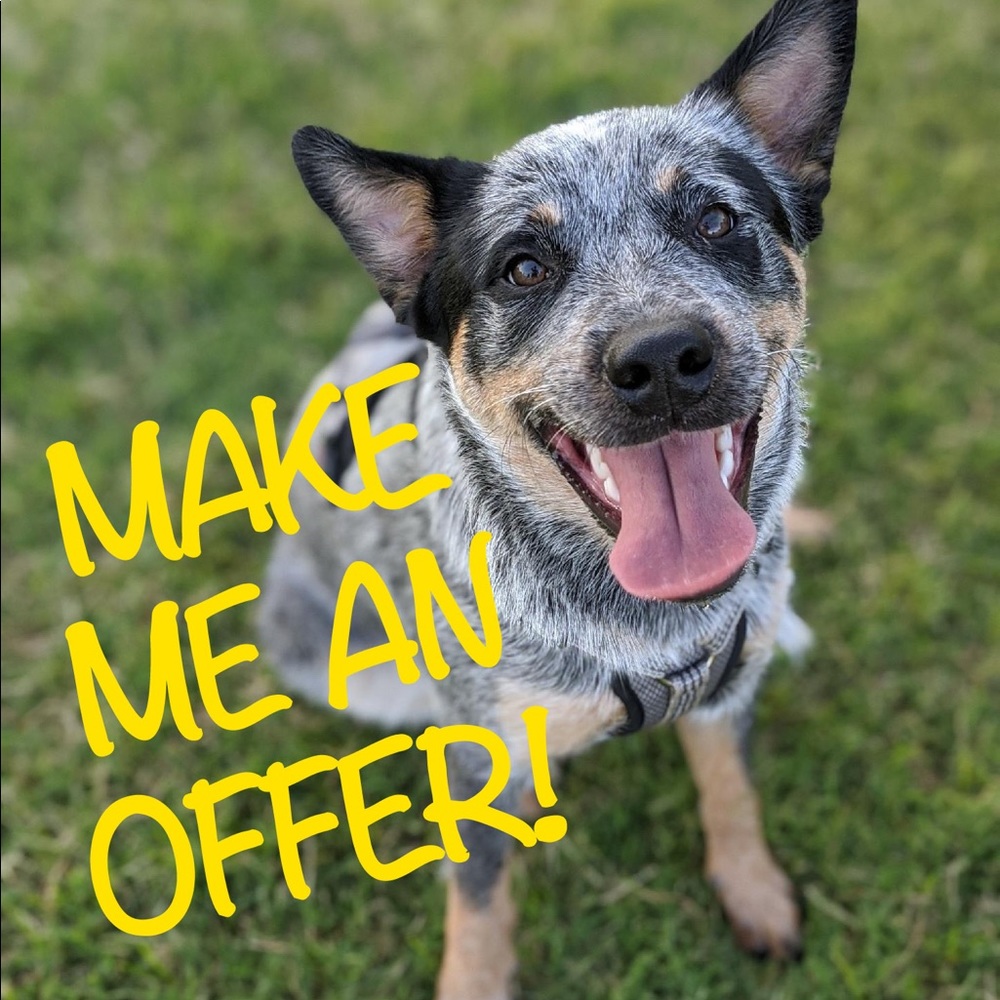 Offers Welcome!